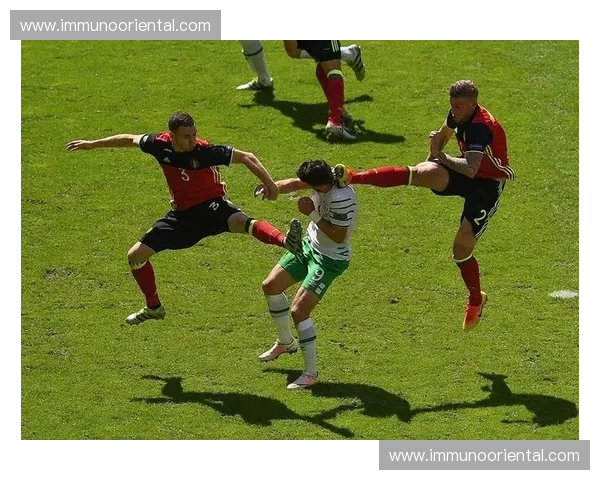 法国队再创辉煌勇夺世界杯冠军 赛场上演精彩绝伦的足球盛宴